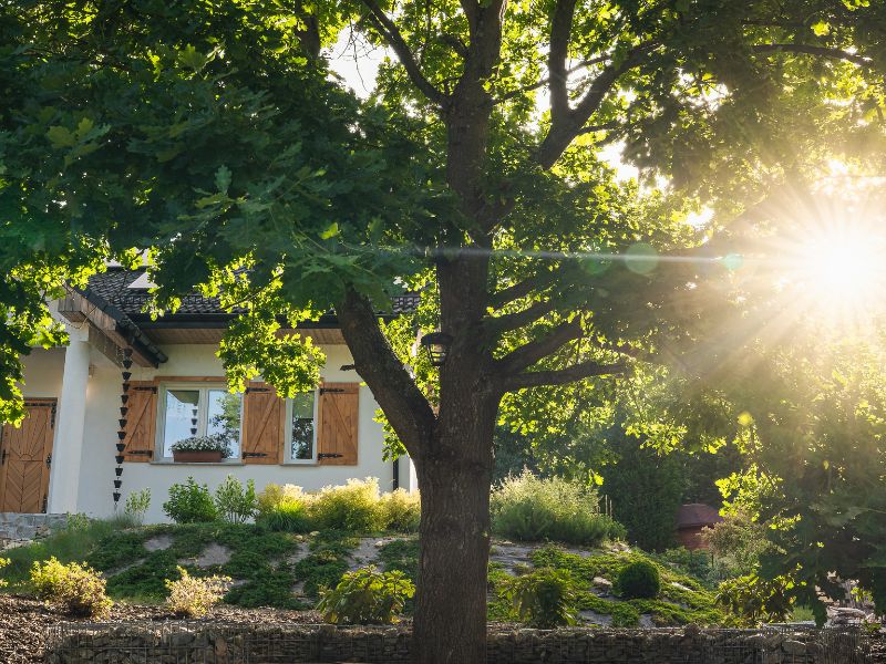 <br />
nasze domki i pokoje<br />
Modrzewiowe Zacisze